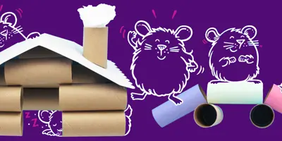 DIY hamster house & toys: easy ideas for happy hamsters