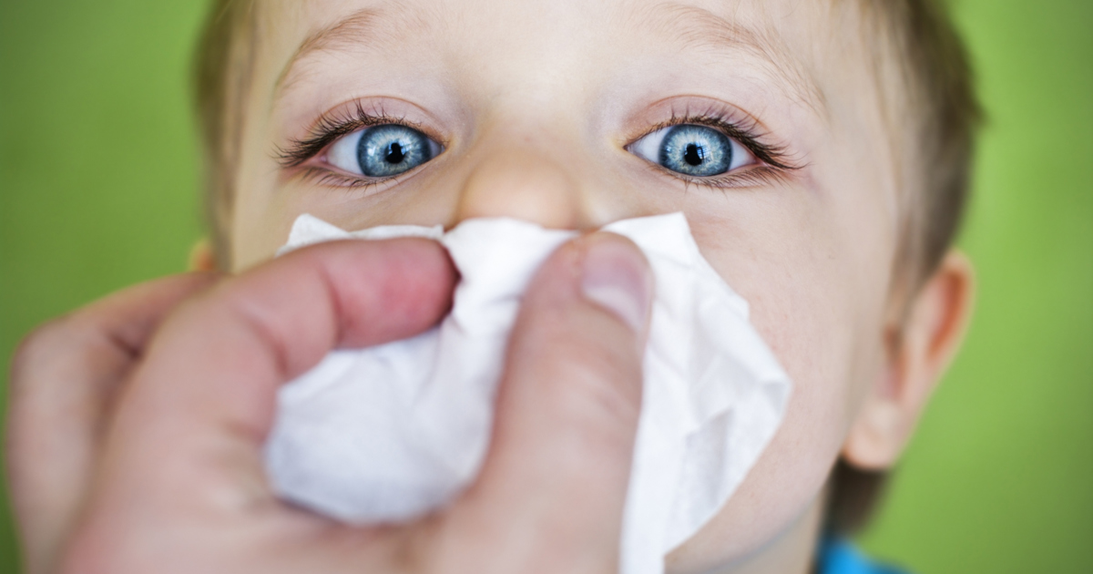 Nosebleeds Causes and How to Prevent Them Cushelle Cushelle