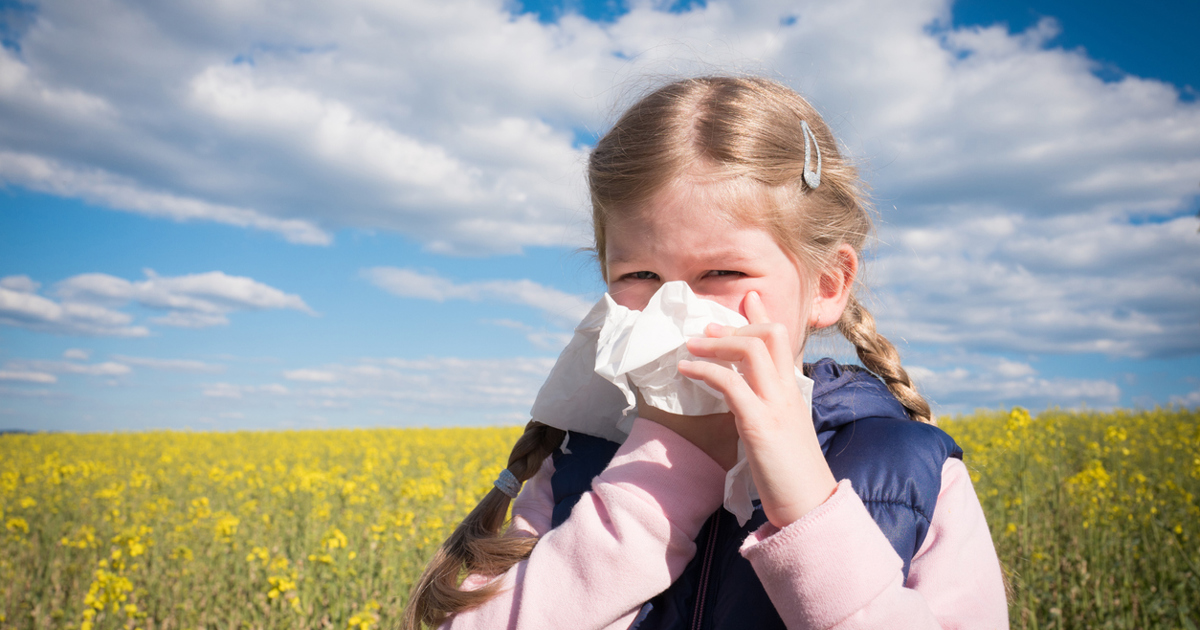 A CrossReactivity Allergy Guide and Practical Tips Cushelle