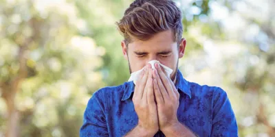 hay fever symptoms
