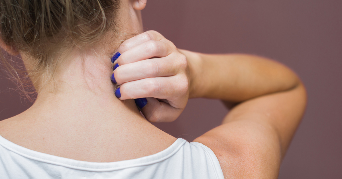 What Plants Deter Wasps? Here’s How to Keep Wasps Away Cushelle