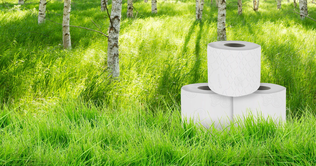 Making More Sustainable Toilet Paper & Tissues Cushelle