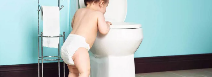A toddler looking inside the toilet