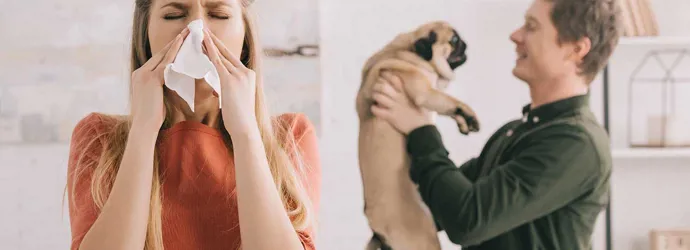 Woman sneezing while man holds a pug in the background