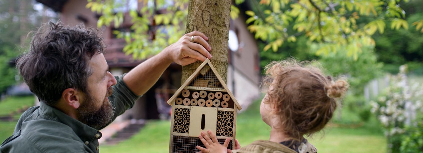 How to make a bug hotel