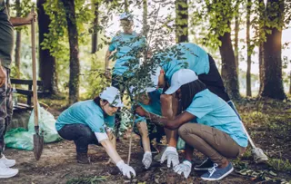 Promoting health, well-being, and inclusion