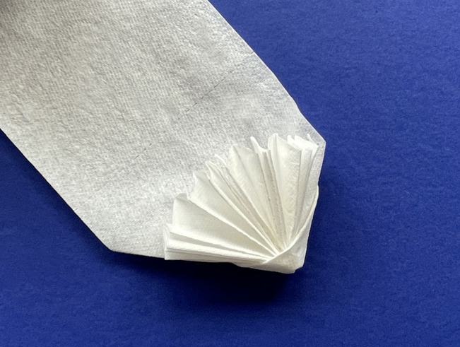 Toilet Paper Origami