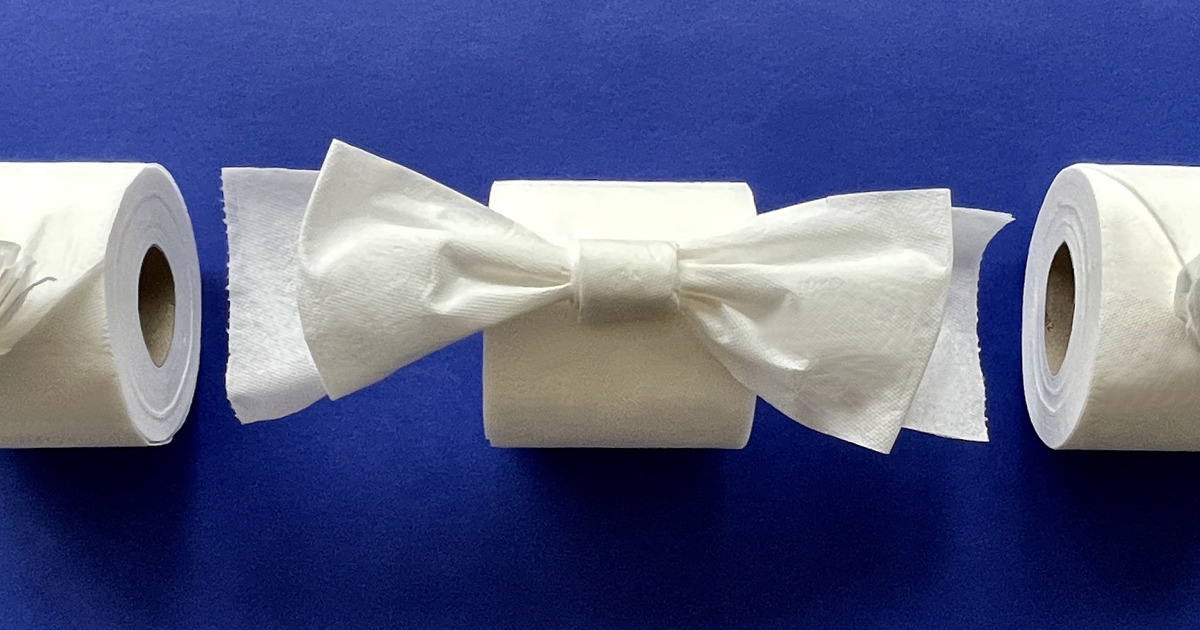 How to Make Toilet Paper Origami Cushelle Cushelle