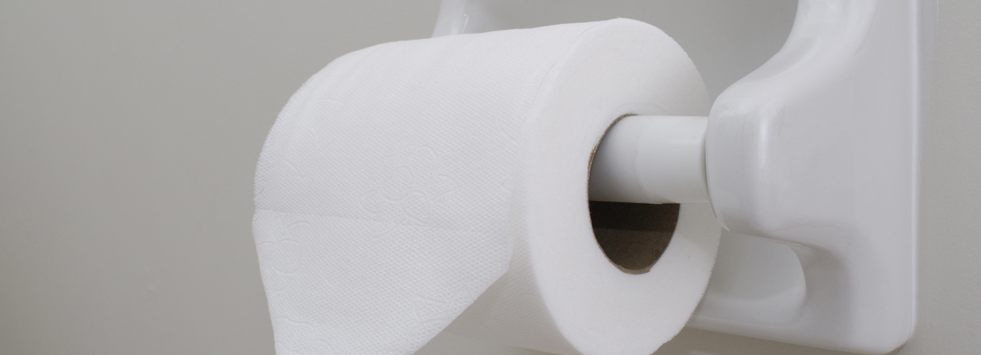 How to make toilet paper origami
