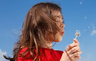 Improving resource efficiency: Reducing water and energy usage.